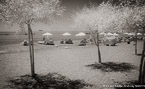 Beach , Limassol Cyprus #YNS-089.  Infrared Photograph,  Stretched and Gallery Wrapped, Limited Edition Archival Print on Canvas:  68 x 40 inches, $1620.  Custom Proportions and Sizes are Available.  For more information or to order please visit our ABOUT page or call us at 561-691-1110.