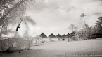 Tropical Beach, Tahiti  #YNS-111.  Infrared Photograph,  Stretched and Gallery Wrapped, Limited Edition Archival Print on Canvas:  72 x 40 inches, $1620.  Custom Proportions and Sizes are Available.  For more information or to order please visit our ABOUT page or call us at 561-691-1110.