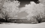 Tropical Beach, Saint Thomas #YNS-131.  Infrared Photograph,  Stretched and Gallery Wrapped, Limited Edition Archival Print on Canvas:  68 x 40 inches, $1620.  Custom Proportions and Sizes are Available.  For more information or to order please visit our ABOUT page or call us at 561-691-1110.