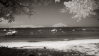 Tropical Beach, Saint Thomas #YNS-133.  Infrared Photograph,  Stretched and Gallery Wrapped, Limited Edition Archival Print on Canvas:  72 x 40 inches, $1620.  Custom Proportions and Sizes are Available.  For more information or to order please visit our ABOUT page or call us at 561-691-1110.