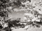 Beach , Jupiter  #YNS-223.  Infrared Photograph,  Stretched and Gallery Wrapped, Limited Edition Archival Print on Canvas:  56 x 40 inches, $1590.  Custom Proportions and Sizes are Available.  For more information or to order please visit our ABOUT page or call us at 561-691-1110.