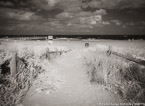 Beach , Jupiter  #YNS-260.  Infrared Photograph,  Stretched and Gallery Wrapped, Limited Edition Archival Print on Canvas:  56 x 40 inches, $1590.  Custom Proportions and Sizes are Available.  For more information or to order please visit our ABOUT page or call us at 561-691-1110.