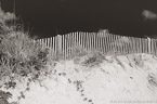 Beach , Jupiter  #YNS-263.  Black-White Photograph,  Stretched and Gallery Wrapped, Limited Edition Archival Print on Canvas:  60 x 40 inches, $1590.  Custom Proportions and Sizes are Available.  For more information or to order please visit our ABOUT page or call us at 561-691-1110.