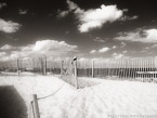 Beach , Jupiter  #YNS-274.  Infrared Photograph,  Stretched and Gallery Wrapped, Limited Edition Archival Print on Canvas:  56 x 40 inches, $1590.  Custom Proportions and Sizes are Available.  For more information or to order please visit our ABOUT page or call us at 561-691-1110.