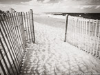 Beach , Jupiter  #YNS-277.  Infrared Photograph,  Stretched and Gallery Wrapped, Limited Edition Archival Print on Canvas:  56 x 40 inches, $1590.  Custom Proportions and Sizes are Available.  For more information or to order please visit our ABOUT page or call us at 561-691-1110.