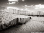 Beach , Jupiter  #YNS-281.  Infrared Photograph,  Stretched and Gallery Wrapped, Limited Edition Archival Print on Canvas:  56 x 40 inches, $1590.  Custom Proportions and Sizes are Available.  For more information or to order please visit our ABOUT page or call us at 561-691-1110.