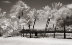 Tropical Beach, Jupiter  #YNS-019.  Infrared Photograph,  Stretched and Gallery Wrapped, Limited Edition Archival Print on Canvas:  40 x 72 inches, $1620.  Custom Proportions and Sizes are Available.  For more information or to order please visit our ABOUT page or call us at 561-691-1110.