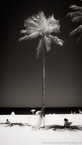 Tropical Beach, Fort Lauderdale #YNS-031.  Infrared Photograph,  Stretched and Gallery Wrapped, Limited Edition Archival Print on Canvas:  40 x 72 inches, $1620.  Custom Proportions and Sizes are Available.  For more information or to order please visit our ABOUT page or call us at 561-691-1110.