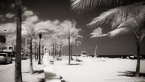 Tropical Beach, Fort Lauderdale #YNS-033.  Infrared Photograph,  Stretched and Gallery Wrapped, Limited Edition Archival Print on Canvas:  72 x 40 inches, $1620.  Custom Proportions and Sizes are Available.  For more information or to order please visit our ABOUT page or call us at 561-691-1110.