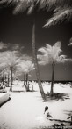 Tropical Beach, Fort Lauderdale #YNS-041.  Infrared Photograph,  Stretched and Gallery Wrapped, Limited Edition Archival Print on Canvas:  40 x 72 inches, $1620.  Custom Proportions and Sizes are Available.  For more information or to order please visit our ABOUT page or call us at 561-691-1110.