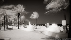 Tropical Beach, Fort Lauderdale #YNS-044.  Infrared Photograph,  Stretched and Gallery Wrapped, Limited Edition Archival Print on Canvas:  72 x 40 inches, $1620.  Custom Proportions and Sizes are Available.  For more information or to order please visit our ABOUT page or call us at 561-691-1110.