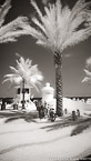 Tropical Beach, Fort Lauderdale #YNS-047.  Infrared Photograph,  Stretched and Gallery Wrapped, Limited Edition Archival Print on Canvas:  40 x 72 inches, $1620.  Custom Proportions and Sizes are Available.  For more information or to order please visit our ABOUT page or call us at 561-691-1110.