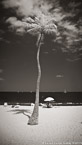 Tropical Beach, Fort Lauderdale #YNS-051.  Infrared Photograph,  Stretched and Gallery Wrapped, Limited Edition Archival Print on Canvas:  40 x 72 inches, $1620.  Custom Proportions and Sizes are Available.  For more information or to order please visit our ABOUT page or call us at 561-691-1110.