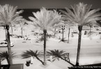 Tropical Beach, Fort Lauderdale #YNS-055.  Infrared Photograph,  Stretched and Gallery Wrapped, Limited Edition Archival Print on Canvas:  60 x 40 inches, $1590.  Custom Proportions and Sizes are Available.  For more information or to order please visit our ABOUT page or call us at 561-691-1110.