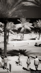 Tropical Beach, Fort Lauderdale #YNS-056.  Infrared Photograph,  Stretched and Gallery Wrapped, Limited Edition Archival Print on Canvas:  40 x 72 inches, $1620.  Custom Proportions and Sizes are Available.  For more information or to order please visit our ABOUT page or call us at 561-691-1110.