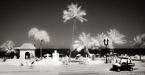 Tropical Beach, Fort Lauderdale #YNS-059.  Infrared Photograph,  Stretched and Gallery Wrapped, Limited Edition Archival Print on Canvas:  72 x 36 inches, $1620.  Custom Proportions and Sizes are Available.  For more information or to order please visit our ABOUT page or call us at 561-691-1110.