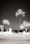 Tropical Beach, Fort Lauderdale #YNS-060.  Infrared Photograph,  Stretched and Gallery Wrapped, Limited Edition Archival Print on Canvas:  40 x 60 inches, $1590.  Custom Proportions and Sizes are Available.  For more information or to order please visit our ABOUT page or call us at 561-691-1110.