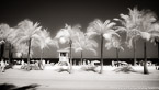 Tropical Beach, Fort Lauderdale #YNS-061.  Infrared Photograph,  Stretched and Gallery Wrapped, Limited Edition Archival Print on Canvas:  72 x 40 inches, $1620.  Custom Proportions and Sizes are Available.  For more information or to order please visit our ABOUT page or call us at 561-691-1110.