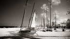 Tropical Beach, Fort Lauderdale #YNS-065.  Infrared Photograph,  Stretched and Gallery Wrapped, Limited Edition Archival Print on Canvas:  72 x 40 inches, $1620.  Custom Proportions and Sizes are Available.  For more information or to order please visit our ABOUT page or call us at 561-691-1110.