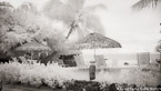 Tropical Beach, Tahiti  #YNS-095.  Infrared Photograph,  Stretched and Gallery Wrapped, Limited Edition Archival Print on Canvas:  72 x 40 inches, $1620.  Custom Proportions and Sizes are Available.  For more information or to order please visit our ABOUT page or call us at 561-691-1110.