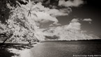 Tropical Beach, Tahiti  #YNS-102.  Infrared Photograph,  Stretched and Gallery Wrapped, Limited Edition Archival Print on Canvas:  72 x 40 inches, $1620.  Custom Proportions and Sizes are Available.  For more information or to order please visit our ABOUT page or call us at 561-691-1110.