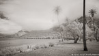 Tropical Beach, Tahiti  #YNS-106.  Infrared Photograph,  Stretched and Gallery Wrapped, Limited Edition Archival Print on Canvas:  72 x 40 inches, $1620.  Custom Proportions and Sizes are Available.  For more information or to order please visit our ABOUT page or call us at 561-691-1110.