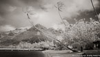 Tropical Beach, Tahiti  #YNS-116.  Infrared Photograph,  Stretched and Gallery Wrapped, Limited Edition Archival Print on Canvas:  72 x 40 inches, $1620.  Custom Proportions and Sizes are Available.  For more information or to order please visit our ABOUT page or call us at 561-691-1110.