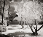 Tropical Beach, Bora Bora #YNS-122.  Infrared Photograph,  Stretched and Gallery Wrapped, Limited Edition Archival Print on Canvas:  48 x 40 inches, $1560.  Custom Proportions and Sizes are Available.  For more information or to order please visit our ABOUT page or call us at 561-691-1110.