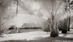 Tropical Beach, Bora Bora #YNS-123.  Infrared Photograph,  Stretched and Gallery Wrapped, Limited Edition Archival Print on Canvas:  72 x 40 inches, $1620.  Custom Proportions and Sizes are Available.  For more information or to order please visit our ABOUT page or call us at 561-691-1110.