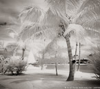 Tropical Beach, Bora Bora #YNS-124.  Infrared Photograph,  Stretched and Gallery Wrapped, Limited Edition Archival Print on Canvas:  48 x 44 inches, $1530.  Custom Proportions and Sizes are Available.  For more information or to order please visit our ABOUT page or call us at 561-691-1110.