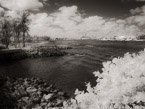 Tropical Beach, Jupiter  #YNS-236.  Infrared Photograph,  Stretched and Gallery Wrapped, Limited Edition Archival Print on Canvas:  56 x 40 inches, $1590.  Custom Proportions and Sizes are Available.  For more information or to order please visit our ABOUT page or call us at 561-691-1110.