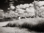 Tropical Beach, Jupiter  #YNS-238.  Infrared Photograph,  Stretched and Gallery Wrapped, Limited Edition Archival Print on Canvas:  50 x 40 inches, $1560.  Custom Proportions and Sizes are Available.  For more information or to order please visit our ABOUT page or call us at 561-691-1110.