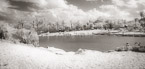 Tropical Beach, Jupiter  #YNS-259.  Infrared Photograph,  Stretched and Gallery Wrapped, Limited Edition Archival Print on Canvas:  72 x 36 inches, $1620.  Custom Proportions and Sizes are Available.  For more information or to order please visit our ABOUT page or call us at 561-691-1110.