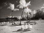 Tropical Beach, Florida Keys #YNS-284.  Infrared Photograph,  Stretched and Gallery Wrapped, Limited Edition Archival Print on Canvas:  56 x 40 inches, $1590.  Custom Proportions and Sizes are Available.  For more information or to order please visit our ABOUT page or call us at 561-691-1110.