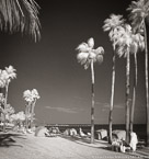 Tropical Beach, Florida Keys #YNS-288.  Infrared Photograph,  Stretched and Gallery Wrapped, Limited Edition Archival Print on Canvas:  40 x 44 inches, $1530.  Custom Proportions and Sizes are Available.  For more information or to order please visit our ABOUT page or call us at 561-691-1110.
