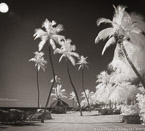 Tropical Beach, Florida Keys #YNS-290.  Infrared Photograph,  Stretched and Gallery Wrapped, Limited Edition Archival Print on Canvas:  48 x 44 inches, $1530.  Custom Proportions and Sizes are Available.  For more information or to order please visit our ABOUT page or call us at 561-691-1110.