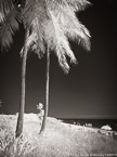 Tropical Beach, Florida Keys #YNS-292.  Infrared Photograph,  Stretched and Gallery Wrapped, Limited Edition Archival Print on Canvas:  40 x 56 inches, $1590.  Custom Proportions and Sizes are Available.  For more information or to order please visit our ABOUT page or call us at 561-691-1110.