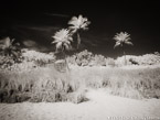 Tropical Beach, Florida Keys #YNS-298.  Infrared Photograph,  Stretched and Gallery Wrapped, Limited Edition Archival Print on Canvas:  56 x 40 inches, $1590.  Custom Proportions and Sizes are Available.  For more information or to order please visit our ABOUT page or call us at 561-691-1110.