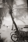 Tropical Beach, Key West #YNS-353.  Infrared Photograph,  Stretched and Gallery Wrapped, Limited Edition Archival Print on Canvas:  40 x 60 inches, $1590.  Custom Proportions and Sizes are Available.  For more information or to order please visit our ABOUT page or call us at 561-691-1110.