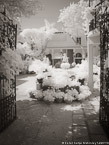 Tropical Garden, Palm Beach #YNG-377.  Infrared Photograph,  Stretched and Gallery Wrapped, Limited Edition Archival Print on Canvas:  40 x 56 inches, $1590.  Custom Proportions and Sizes are Available.  For more information or to order please visit our ABOUT page or call us at 561-691-1110.