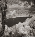 Lake , Costa Rica #YNG-410.  Infrared Photograph,  Stretched and Gallery Wrapped, Limited Edition Archival Print on Canvas:  40 x 44 inches, $1530.  Custom Proportions and Sizes are Available.  For more information or to order please visit our ABOUT page or call us at 561-691-1110.