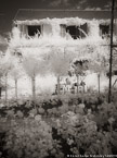 Monets Garden, Giverny France #YNG-463.  Infrared Photograph,  Stretched and Gallery Wrapped, Limited Edition Archival Print on Canvas:  40 x 56 inches, $1590.  Custom Proportions and Sizes are Available.  For more information or to order please visit our ABOUT page or call us at 561-691-1110.