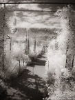 Monets Garden, Giverny France #YNG-473.  Infrared Photograph,  Stretched and Gallery Wrapped, Limited Edition Archival Print on Canvas:  40 x 56 inches, $1590.  Custom Proportions and Sizes are Available.  For more information or to order please visit our ABOUT page or call us at 561-691-1110.