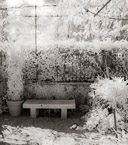 Monets Garden, Giverny France #YNG-476.  Infrared Photograph,  Stretched and Gallery Wrapped, Limited Edition Archival Print on Canvas:  40 x 44 inches, $1530.  Custom Proportions and Sizes are Available.  For more information or to order please visit our ABOUT page or call us at 561-691-1110.
