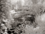 Monets Garden, Giverny France #YNG-503.  Infrared Photograph,  Stretched and Gallery Wrapped, Limited Edition Archival Print on Canvas:  56 x 40 inches, $1590.  Custom Proportions and Sizes are Available.  For more information or to order please visit our ABOUT page or call us at 561-691-1110.