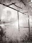Monets Garden, Giverny France #YNG-524.  Infrared Photograph,  Stretched and Gallery Wrapped, Limited Edition Archival Print on Canvas:  40 x 56 inches, $1590.  Custom Proportions and Sizes are Available.  For more information or to order please visit our ABOUT page or call us at 561-691-1110.