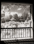 Monets Garden, Giverny France #YNG-537.  Infrared Photograph,  Stretched and Gallery Wrapped, Limited Edition Archival Print on Canvas:  40 x 50 inches, $1560.  Custom Proportions and Sizes are Available.  For more information or to order please visit our ABOUT page or call us at 561-691-1110.