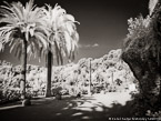 Guell Park, Barcelona Spain #YNG-575.  Infrared Photograph,  Stretched and Gallery Wrapped, Limited Edition Archival Print on Canvas:  56 x 40 inches, $1590.  Custom Proportions and Sizes are Available.  For more information or to order please visit our ABOUT page or call us at 561-691-1110.