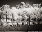 Guell Park, Barcelona Spain #YNG-577.  Infrared Photograph,  Stretched and Gallery Wrapped, Limited Edition Archival Print on Canvas:  56 x 40 inches, $1590.  Custom Proportions and Sizes are Available.  For more information or to order please visit our ABOUT page or call us at 561-691-1110.