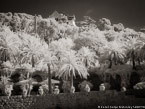 Guell Park, Barcelona Spain #YNG-581.  Infrared Photograph,  Stretched and Gallery Wrapped, Limited Edition Archival Print on Canvas:  56 x 40 inches, $1590.  Custom Proportions and Sizes are Available.  For more information or to order please visit our ABOUT page or call us at 561-691-1110.